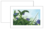 Envelope set.